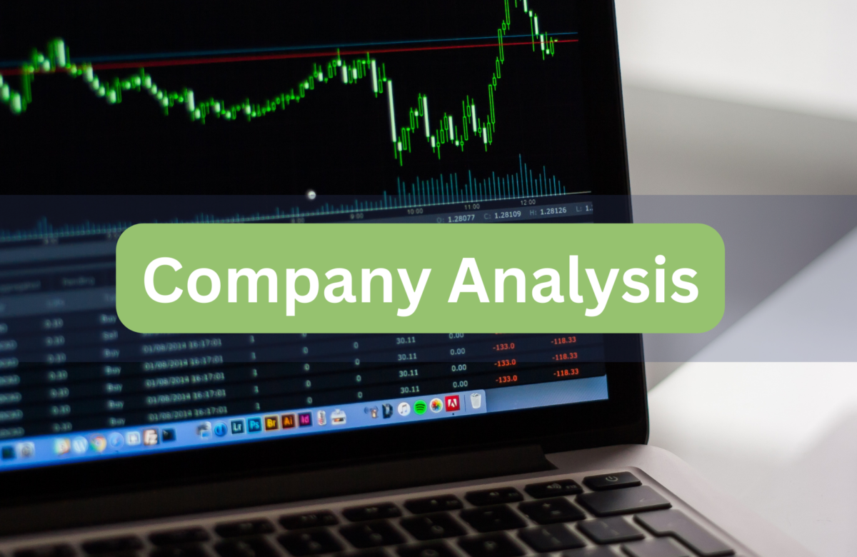 How to Do Company Analysis on Qualitative and Quantitative Aspects before investing?